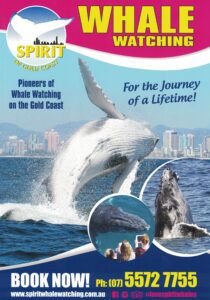 Spirit of Gold Coast Whale Watch A4 2022