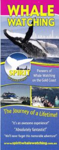 Spirit of Gold Coast Whales DL 2022