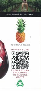 Pineapple Tours Brochure
