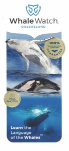 Whale Watch Qld Brochure