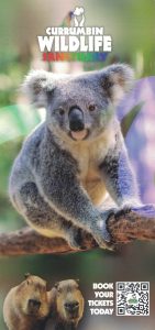 Currumbin Wildlife Sanctuary